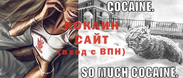 прущий лед Вяземский