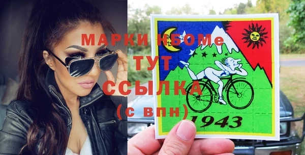 прущий лед Вяземский
