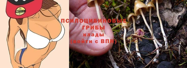 2c-b Вязьма