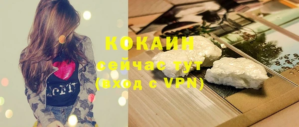 дживик Вязники