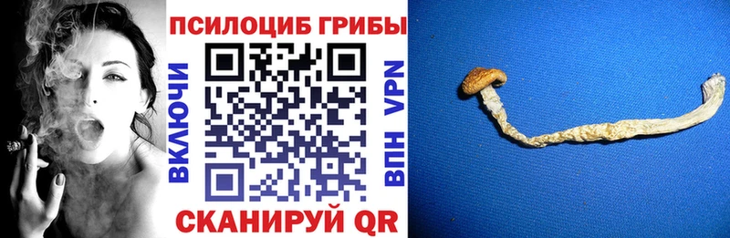Псилоцибиновые грибы мухоморы Гаджиево